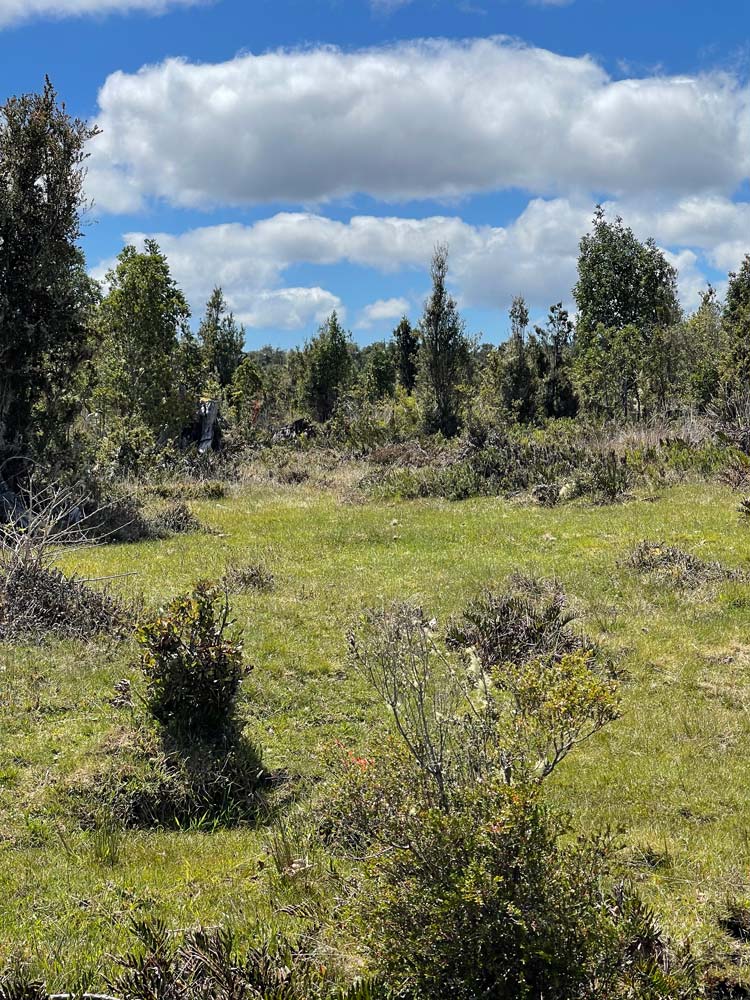 La reserva huayun galeria (8)