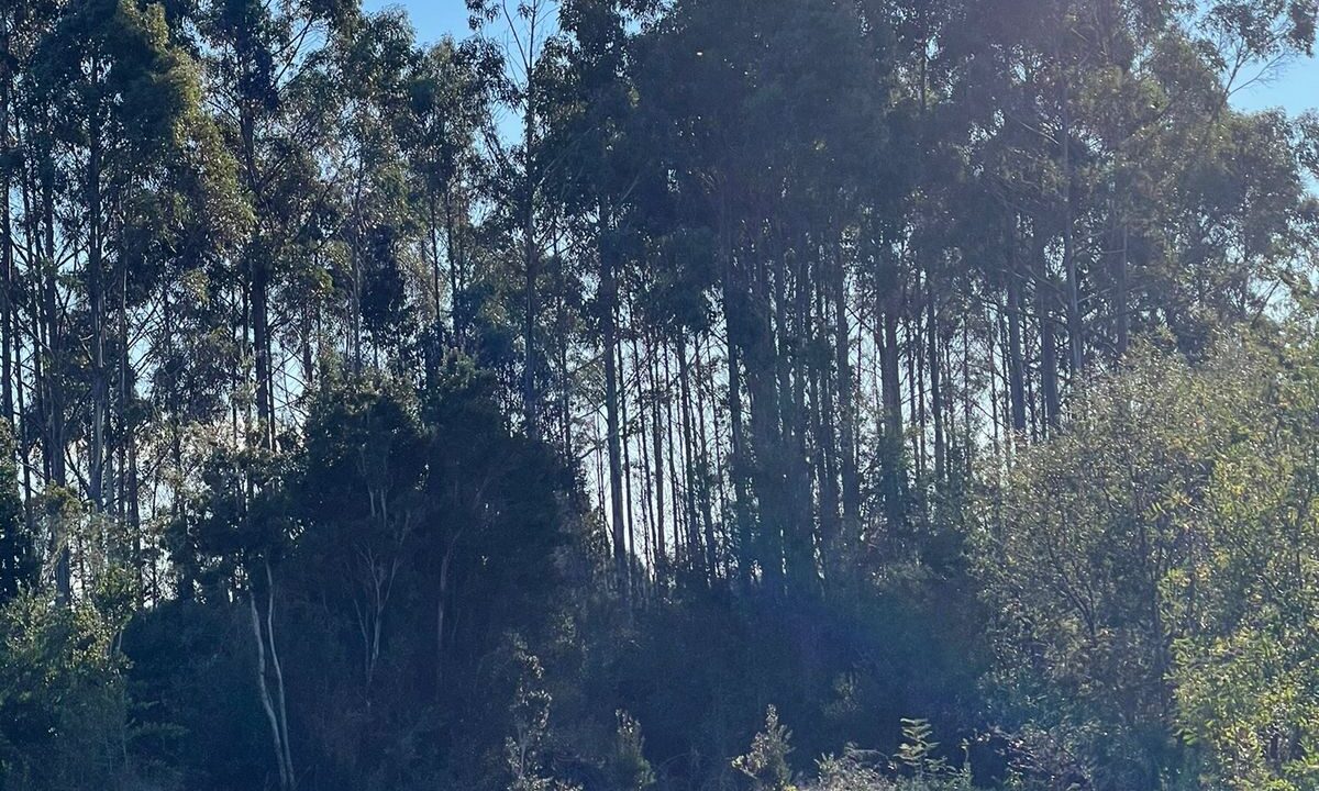 Unknown-9