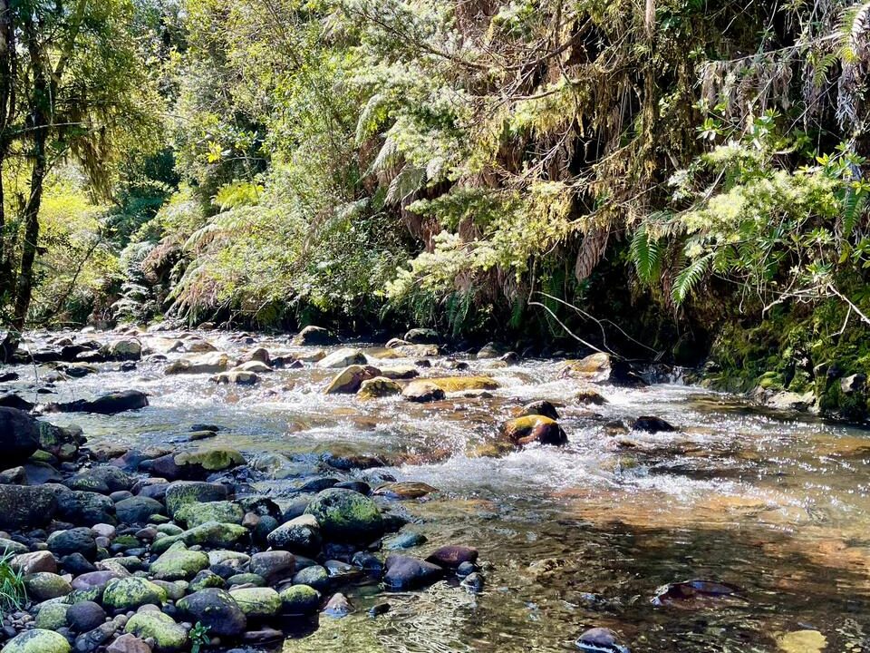 Unknown-11
